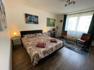Alio Room Campulung Moldovenesc - Câmpulung Moldovenesc - 7