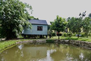 Trúc An Village - Phúc Yên - 9