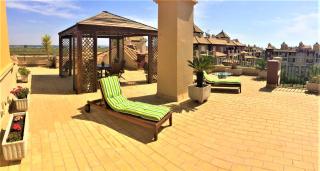 Alcaudón, Isla Canela - By AC REAL - 2