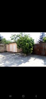 Novkhani garden - Baku - 1