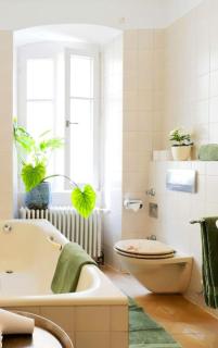 Wohnung mitten im Weinparadies - Rhodt unter Rietburg - 4