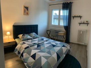 Bel Appartement rénové en centre ville - Limoges - 1