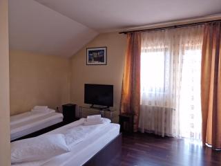 Casa Tudor - Şelimbăr - 4
