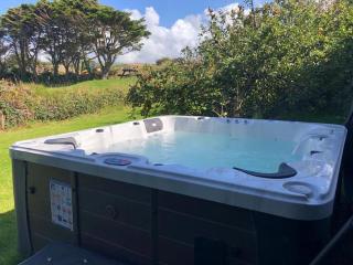 North Cornwall farmhouse hot tub piano coastal sleeps 12 - Treknow - 9
