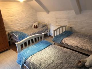 North Cornwall farmhouse hot tub piano coastal sleeps 12 - Treknow - 2