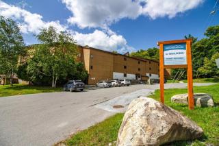 Ski in Ski Out Haven at Okemo Base Area - 4