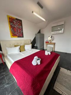 Vitamine Central Apartment - Craiova - 5