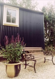 Ty Bach Glas - Llanhowell - 3
