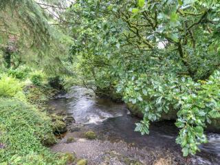 Islwyn - Bala - 2