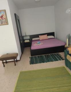 Estudio Pantano San Juan - 2