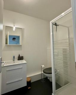 Charmant Appartement Mulhouse - Mulhouse - 4