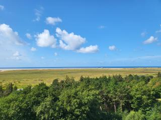Ferienwohnung "Prielkieker 57" - Sankt Peter-Ording - 4