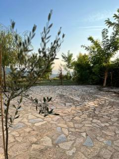 Selim Guesthouse - 8