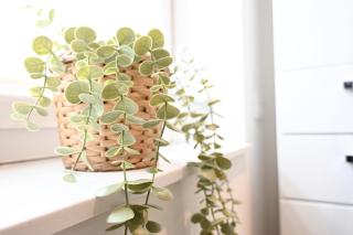 Studio 20 Ostfriesland - 3