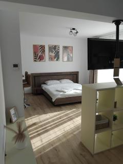 Coresi mall Top city apartments 52 stefan baciu, - Braşov - 8