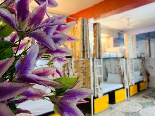 Hotel Moon Light Palace - Jaipur - 1