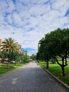 Salusahome parking gratuito - 6