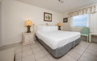 Driftwood Towers 5A condo - Gulf Shores - 3
