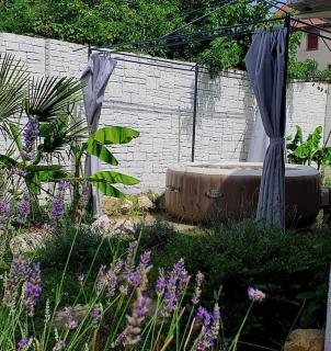 Stone Spa Apartman - Sremčica - 8