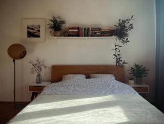 Dorćol apartment - 1