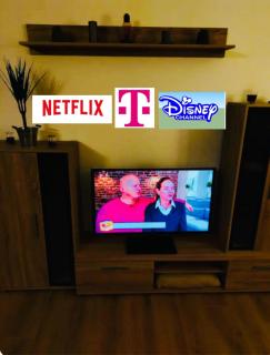 Schwarzwaldtraum inkl WLAN Netflix und Kurtaxe - Bad Liebenzell - 9