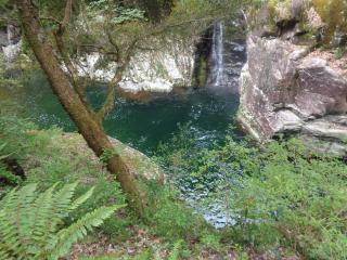 Premium Guest House Alaskan Dream - 9