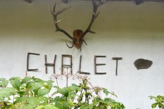 Chalet Azuga - Azuga - 4