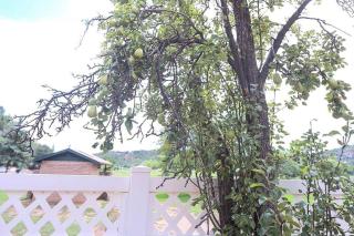 Eagle's Nest Payson Golf Course - 2