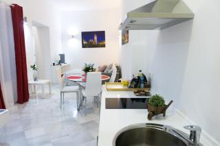Apartamento Centro de Sevilla - Sevilla - 0