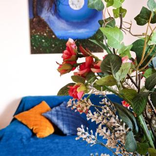 Explore Nature House - Panayia - 6