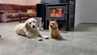 Penny's Drop Inn - Cromwell - 1