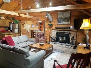 Bearadise - Ruidoso - 8
