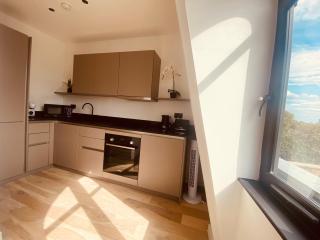 Brand New Modern 1 Bed flat with terrace - 8