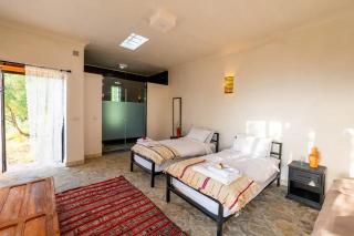 Farm Finn - Chefchaouen - 1