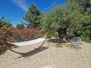 La petite Pinede - Faucon - 1