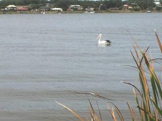 Goolwa Retreat - Goolwa North - 1