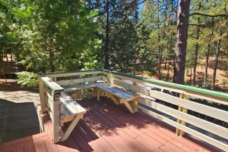 Forest Treasure (01/497) - Groveland - 8