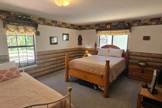Forest Treasure (01/497) - Groveland - 1