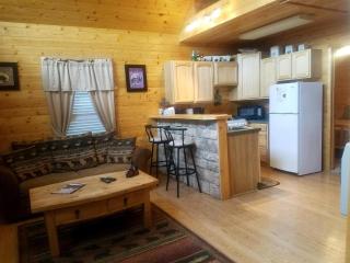 High Mountain Cabin - 7