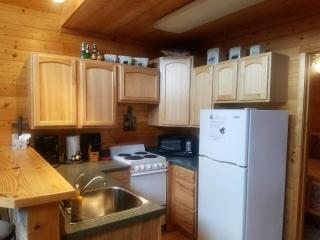 High Mountain Cabin - 2