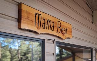 Mama Bears Cabin - 4