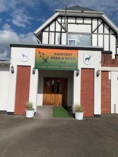 Ashhurst Deer N Duck Inn - Bunnythorpe - 0