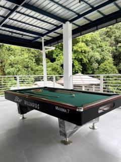 Termas de Los Banos - Forestry - 4