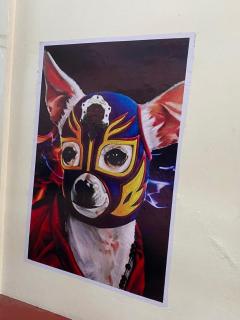 Hostal mil Mascaras 7 - Città di Oaxaca - 2