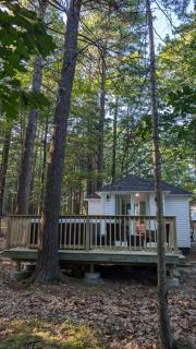 Hinckleys Dreamwood Cottages - 9