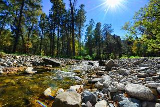 Rivers Edge Cabin - Ruidoso - 6