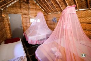 Hampi Waterfall Cottages - Hampi - 2