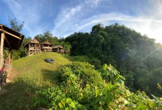 ORANGUTANTREKSUMATRA & LOVELY JUNGLE LODGE only book IF you are treking with us - Bukit Lawang - 3