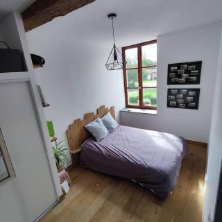 Appartement 45 m - Vic-sur-Seille - 3