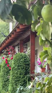 Dacha PODOBOVETS 127 - Podobovets - 3
